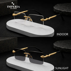 Venom Elite Photochromic Transition Glasses | Imperia